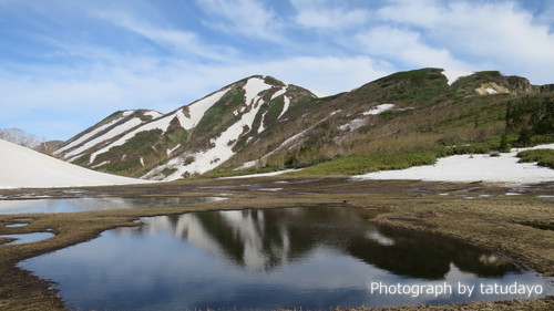 花が咲き始めたお山へ静かな山行（火打山）　-　2日目後半