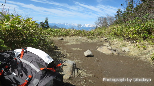 花が咲き始めたお山へ静かな山行（火打山）　-　2日目後半