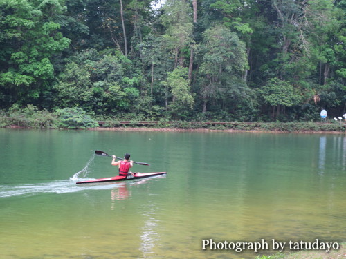 シンガポールトレッキング2-MacRitchie Reservoir Park シンガポールトレッキング2-MacRitchie Reservoir Park