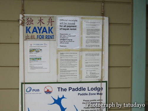 シンガポールトレッキング2-MacRitchie Reservoir Park シンガポールトレッキング2-MacRitchie Reservoir Park