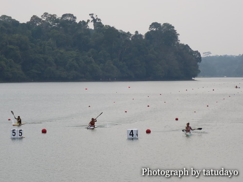 シンガポールトレッキング2-MacRitchie Reservoir Park シンガポールトレッキング2-MacRitchie Reservoir Park