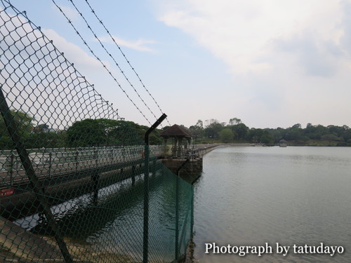 シンガポールトレッキング2-MacRitchie Reservoir Park シンガポールトレッキング2-MacRitchie Reservoir Park