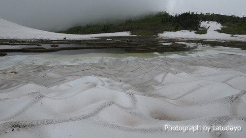 火打山ハイク 残雪・お花そしてカモシカに出会う - その3 火打山ハイク 残雪・お花そしてカモシカに出会う - その3