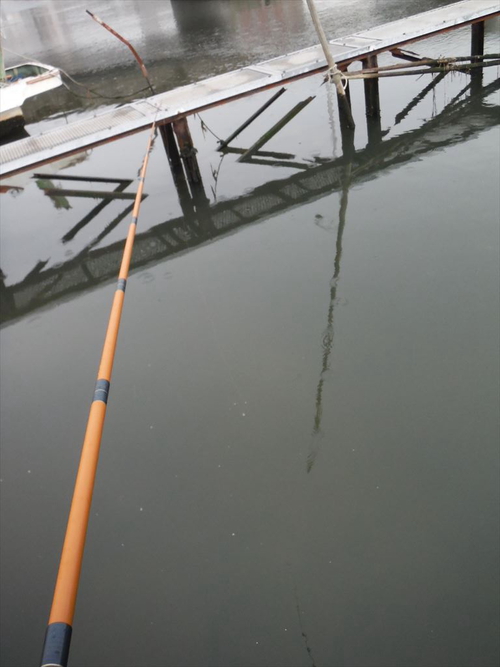 ハゼ釣り 2016-1 船橋港