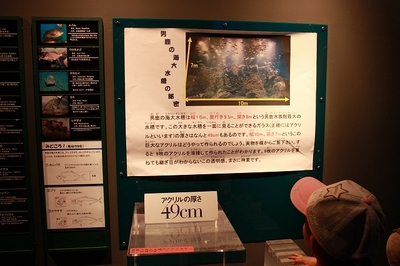 まわる熊　～GAO男鹿水族館