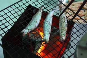 掘る、凍人亭。 ~山形市 玉虫沼湖畔