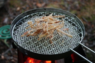 鵺(ぬえ)の鳴くキャンプ場 ~葉山林間キャンプ場