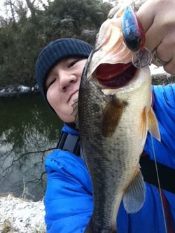 今期初40UP。