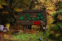 山鳥の森オートキャンプ場　（熊本県）
