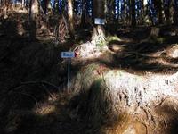 鶏鳴山(2010.1.24)