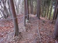 鶏鳴山(2010.1.24)