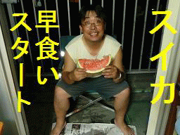 夏の定番?