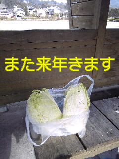 2009ラスト幕張レポ
