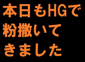 8月8日の釣果(尼崎港)