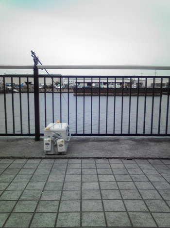 リアルタイム釣り場情報