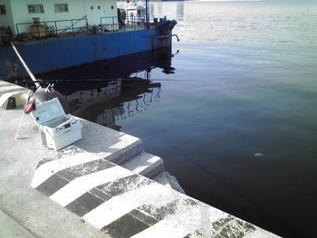リアルタイム釣り場情報