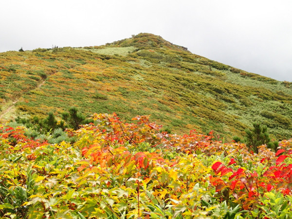 源太ヶ岳~三ツ石山-縦走登山② 源太ヶ岳~三ツ石山-縦走登山②