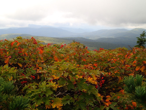 源太ヶ岳~三ツ石山-縦走登山② 源太ヶ岳~三ツ石山-縦走登山②