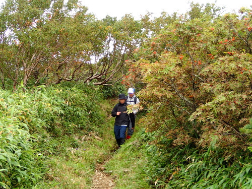 源太ヶ岳~三ツ石山-縦走登山② 源太ヶ岳~三ツ石山-縦走登山②
