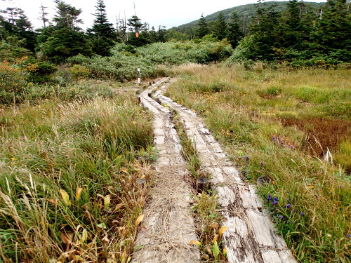 源太ヶ岳~三ツ石山-縦走登山② 源太ヶ岳~三ツ石山-縦走登山②