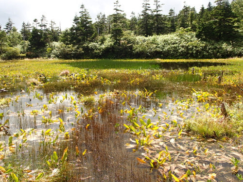 源太ヶ岳~三ツ石山-縦走登山② 源太ヶ岳~三ツ石山-縦走登山②