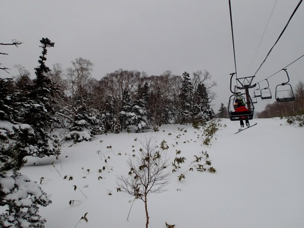 網張スキー場－スキー