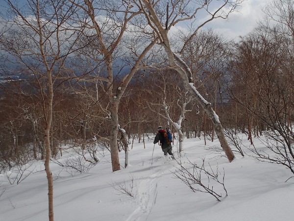秋田駒ケ岳-山スキー(県境越え) 秋田駒ケ岳-山スキー(県境越え)