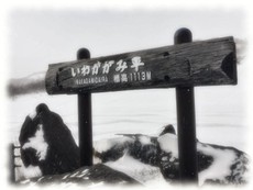 栗駒山（いわかがみ平まで）－山スキー