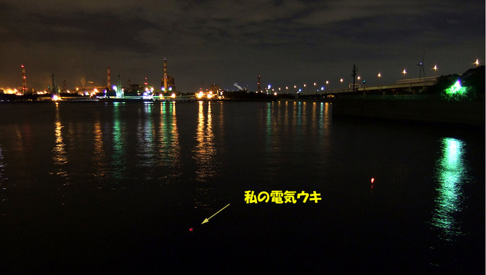 メバルの夜釣り/東扇島西公園2 メバルの夜釣り/東扇島西公園2