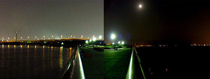 メバルの夜釣り/東扇島西公園2夜1 メバルの夜釣り/東扇島西公園2夜1
