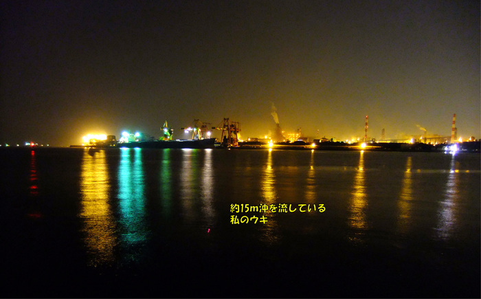 メバルの夜釣り/東扇島西公園2夜6 メバルの夜釣り/東扇島西公園2夜6
