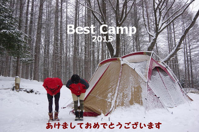 * あけましておめでとうございます♪ * * あけましておめでとうございます♪ *