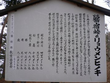 山梨県 新鳥坂トンネルから春日山や名所山を経て滝戸山 ピストン 山梨県 新鳥坂トンネルから春日山や名所山を経て滝戸山 ピストン