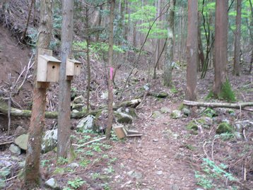 山梨県 父子お泊りハイキング1 鳥ノ胸山 道の駅どうしより周回 とんのむねやま 山梨県 父子お泊りハイキング1 鳥ノ胸山 道の駅どうしより周回 とんのむねやま