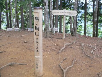 山梨県 父子お泊りハイキング1 鳥ノ胸山 道の駅どうしより周回 とんのむねやま 山梨県 父子お泊りハイキング1 鳥ノ胸山 道の駅どうしより周回 とんのむねやま