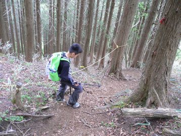 山梨県 父子お泊りハイキング1 鳥ノ胸山 道の駅どうしより周回 とんのむねやま 山梨県 父子お泊りハイキング1 鳥ノ胸山 道の駅どうしより周回 とんのむねやま