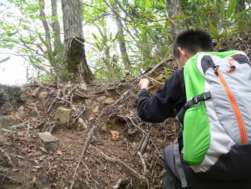 山梨県 父子お泊りハイキング1 鳥ノ胸山 道の駅どうしより周回 とんのむねやま 山梨県 父子お泊りハイキング1 鳥ノ胸山 道の駅どうしより周回 とんのむねやま