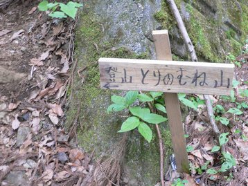 山梨県 父子お泊りハイキング1 鳥ノ胸山 道の駅どうしより周回 とんのむねやま 山梨県 父子お泊りハイキング1 鳥ノ胸山 道の駅どうしより周回 とんのむねやま