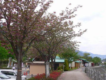 山梨県 父子お泊りハイキング1 鳥ノ胸山 道の駅どうしより周回 とんのむねやま 山梨県 父子お泊りハイキング1 鳥ノ胸山 道の駅どうしより周回 とんのむねやま