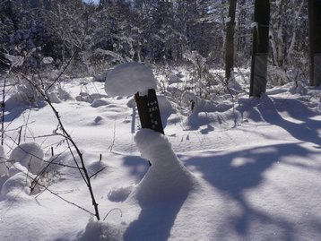 長野県 斑尾山でスノーシューデビュー まだらおの湯からピストン 長野県 斑尾山でスノーシューデビュー まだらおの湯からピストン