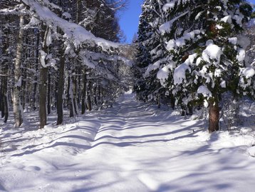 長野県 斑尾山でスノーシューデビュー まだらおの湯からピストン 長野県 斑尾山でスノーシューデビュー まだらおの湯からピストン