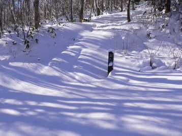 長野県 斑尾山でスノーシューデビュー まだらおの湯からピストン 長野県 斑尾山でスノーシューデビュー まだらおの湯からピストン