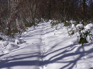 長野県 斑尾山でスノーシューデビュー まだらおの湯からピストン 長野県 斑尾山でスノーシューデビュー まだらおの湯からピストン