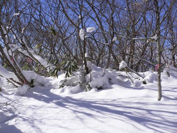 長野県 斑尾山でスノーシューデビュー まだらおの湯からピストン 長野県 斑尾山でスノーシューデビュー まだらおの湯からピストン