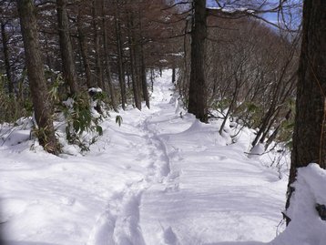 長野県 斑尾山でスノーシューデビュー まだらおの湯からピストン 長野県 斑尾山でスノーシューデビュー まだらおの湯からピストン
