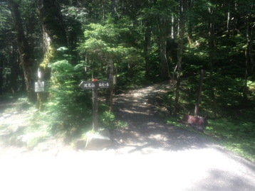 南アルプス林道バスde北沢峠 長衛小屋(旧北沢駒仙小屋)でテン泊 仙丈ケ岳編 南アルプス林道バスde北沢峠 長衛小屋(旧北沢駒仙小屋)でテン泊 仙丈ケ岳編