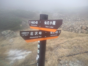 南アルプス林道バスde北沢峠 長衛小屋(旧北沢駒仙小屋)でテン泊 仙丈ケ岳編 南アルプス林道バスde北沢峠 長衛小屋(旧北沢駒仙小屋)でテン泊 仙丈ケ岳編