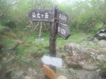 南アルプス林道バスde北沢峠 長衛小屋(旧北沢駒仙小屋)でテン泊 仙丈ケ岳編 南アルプス林道バスde北沢峠 長衛小屋(旧北沢駒仙小屋)でテン泊 仙丈ケ岳編