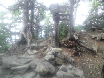 南アルプス林道バスde北沢峠 長衛小屋(旧北沢駒仙小屋)でテン泊 仙丈ケ岳編 南アルプス林道バスde北沢峠 長衛小屋(旧北沢駒仙小屋)でテン泊 仙丈ケ岳編