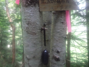 南アルプス林道バスde北沢峠 長衛小屋(旧北沢駒仙小屋)でテン泊 仙丈ケ岳編 南アルプス林道バスde北沢峠 長衛小屋(旧北沢駒仙小屋)でテン泊 仙丈ケ岳編